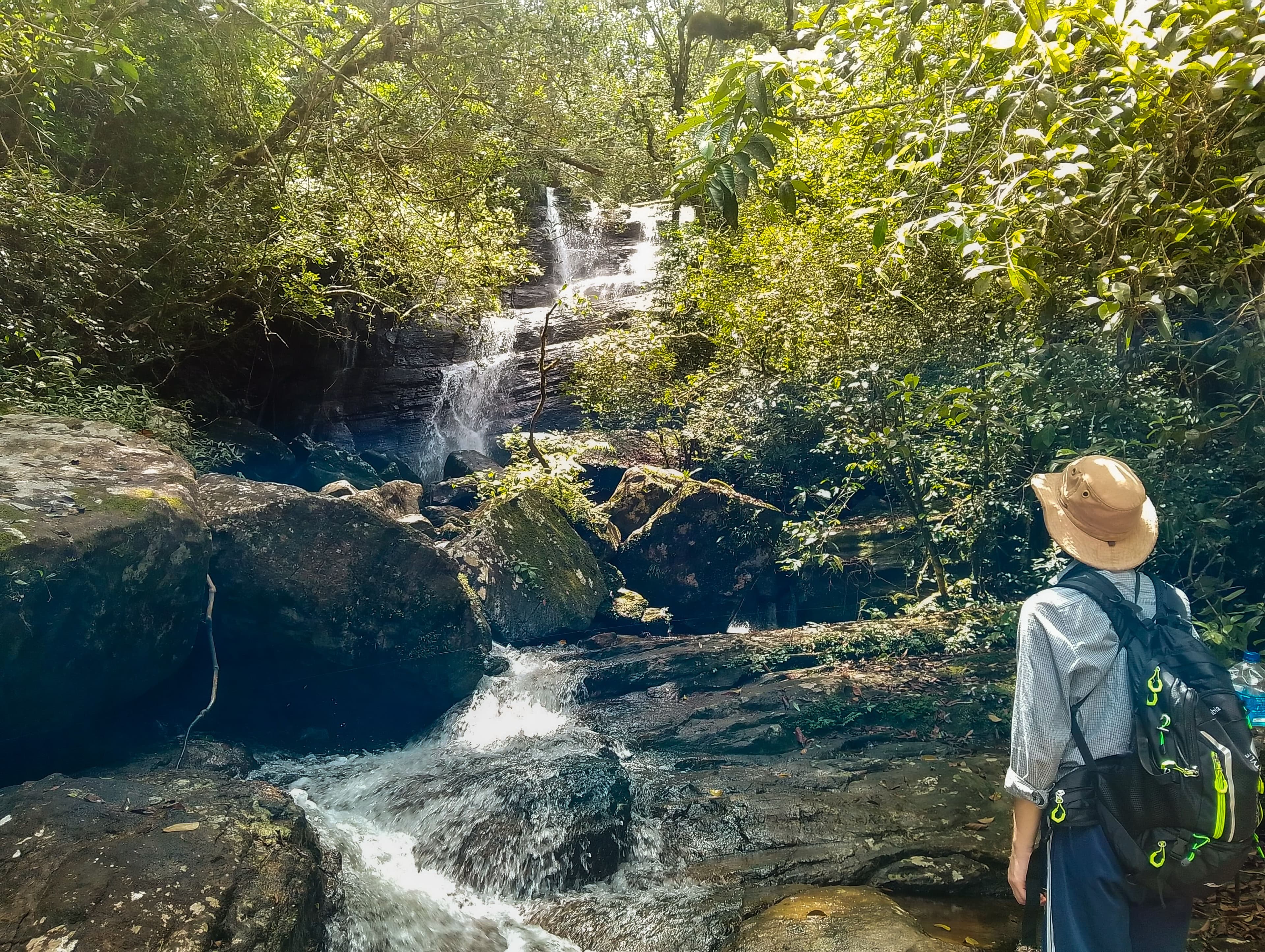 Sinharaja Rainforest