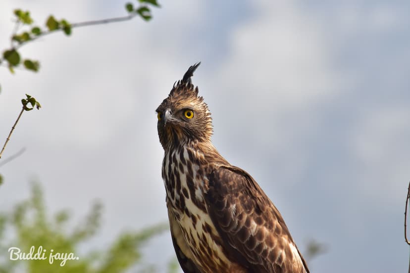 Experience Sri Lanka's beauty of Sri Lanka