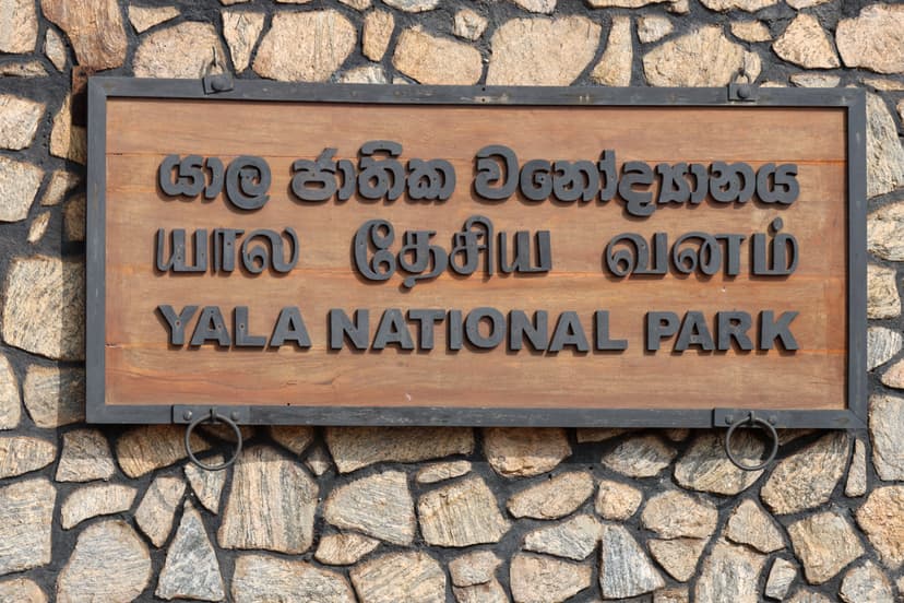 Yala National Park